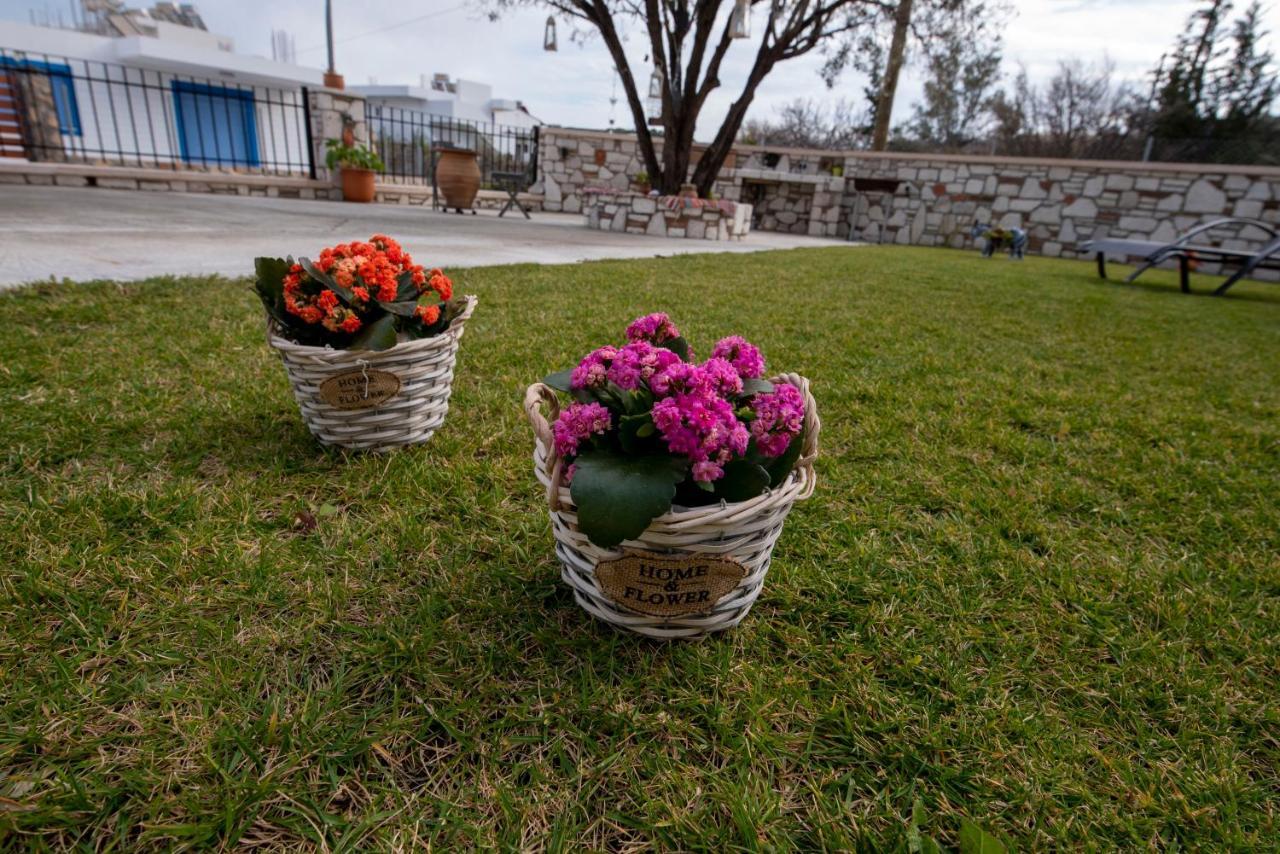 Searock Stegna Villa Archangelos  Buitenkant foto