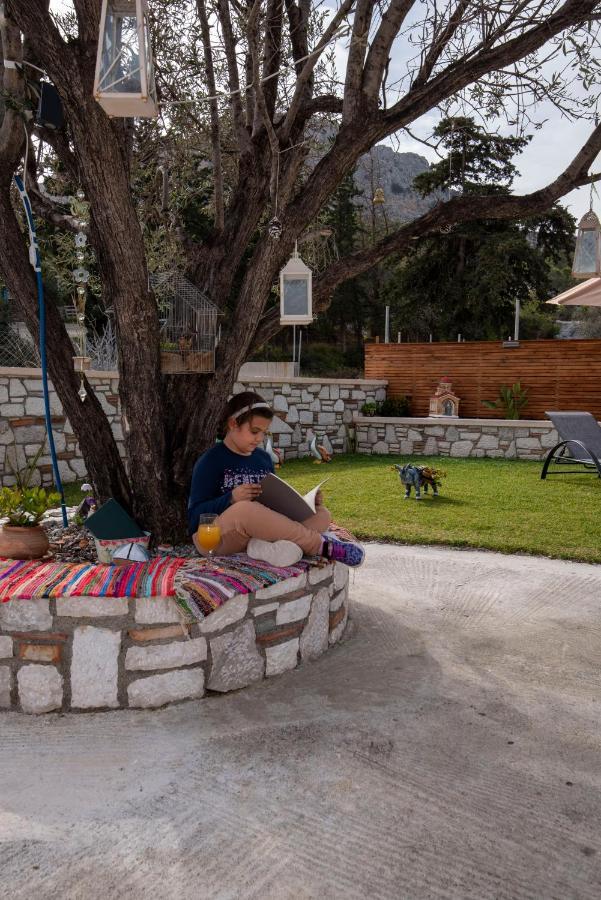 Searock Stegna Villa Archangelos  Buitenkant foto